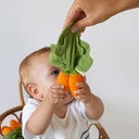 Oli &amp; Carol Cathy the Carrot Mini Doudou-Mordedor